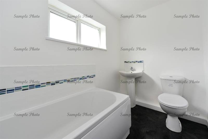 11752440 1479388382360236 7205854642902649253 N