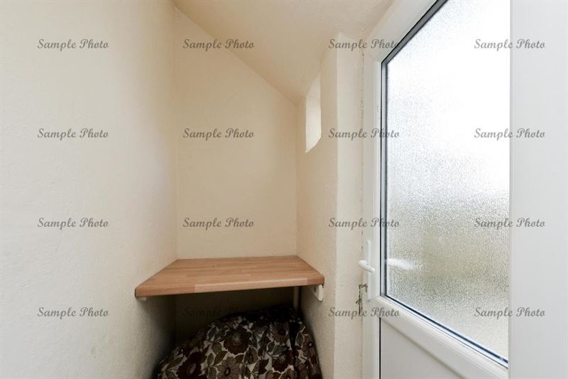 11811407 1479388302360244 6441963732789580709 N