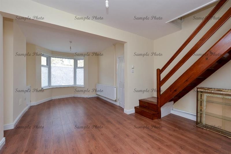 11813406 1479388205693587 4223473579666989739 N