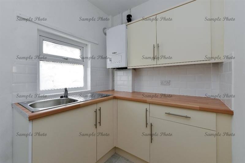 11822479 1479388255693582 370779784937881985 N