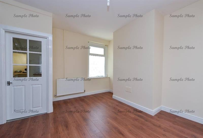 11828766 1479388242360250 4185459953786448983 N