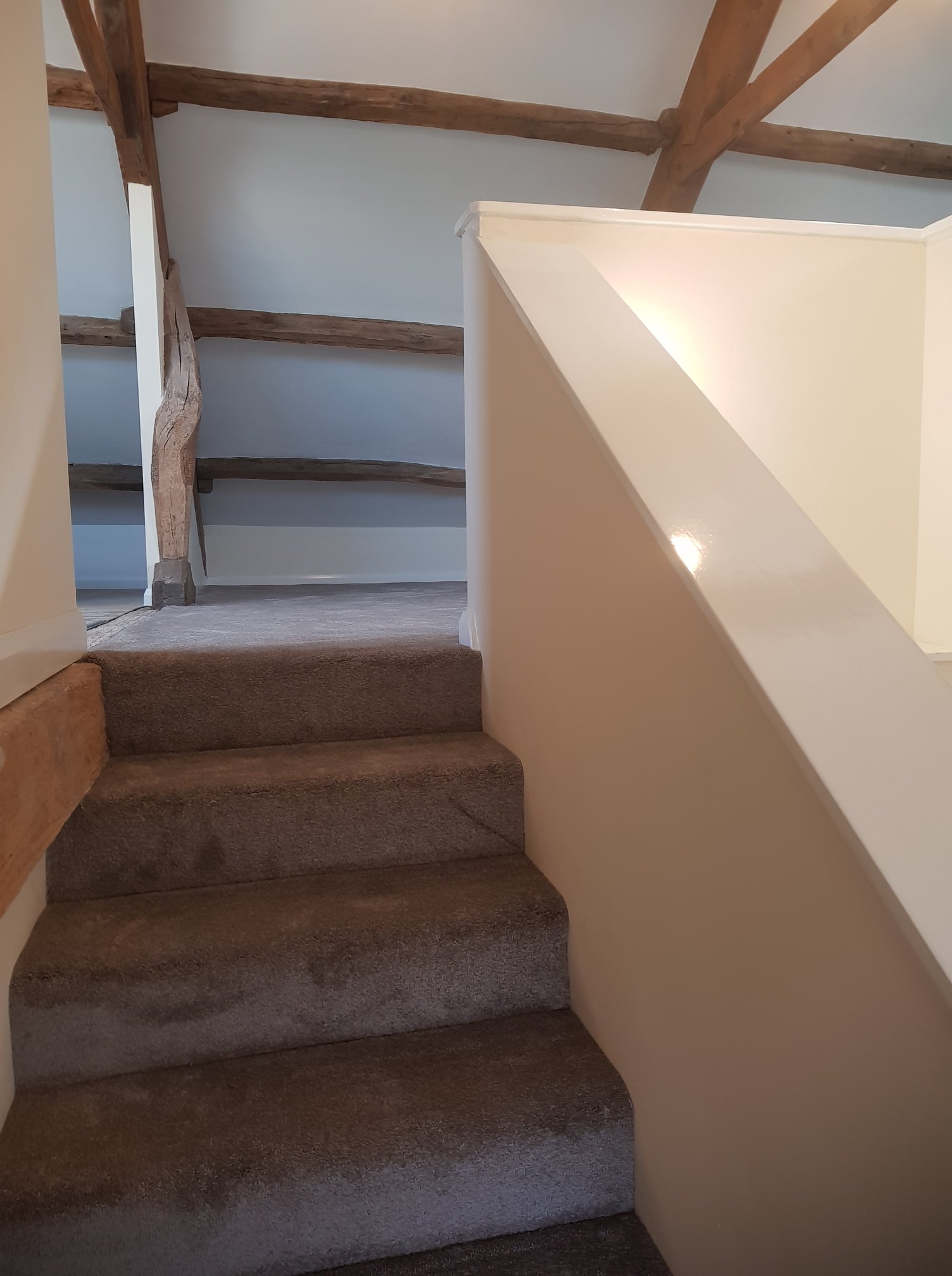 29351536 1835254366773634 477352719599461204 O