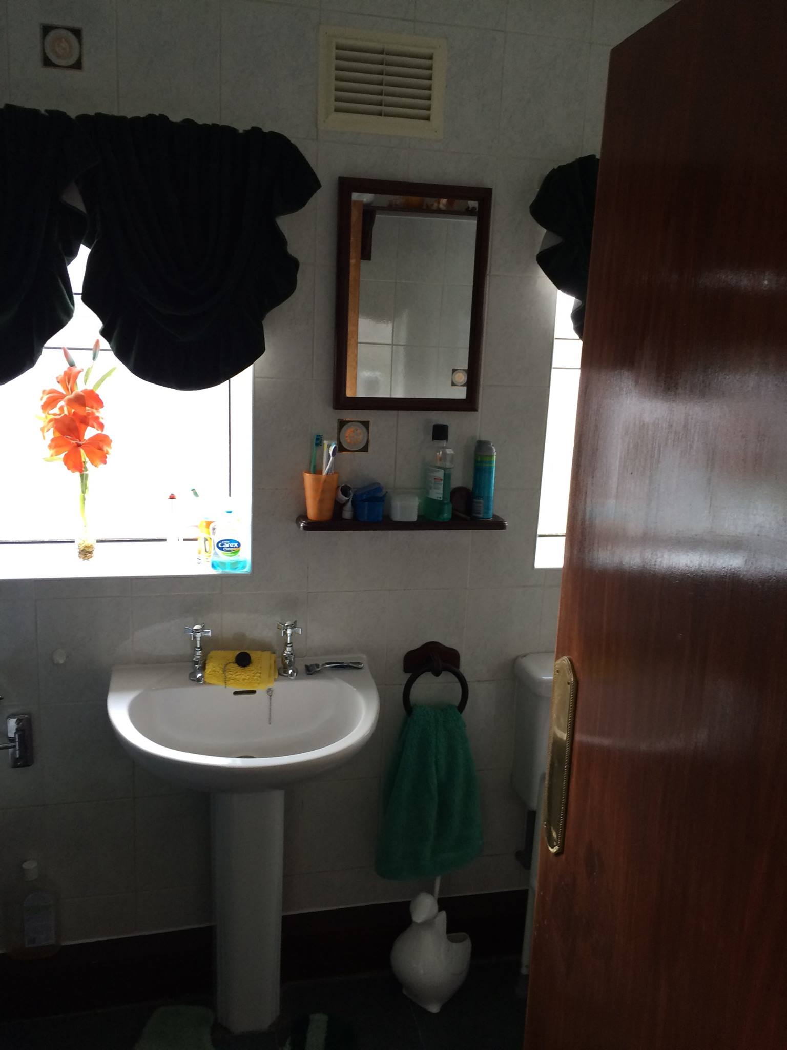 13244236 1572160959749644 1805207316923716085 O