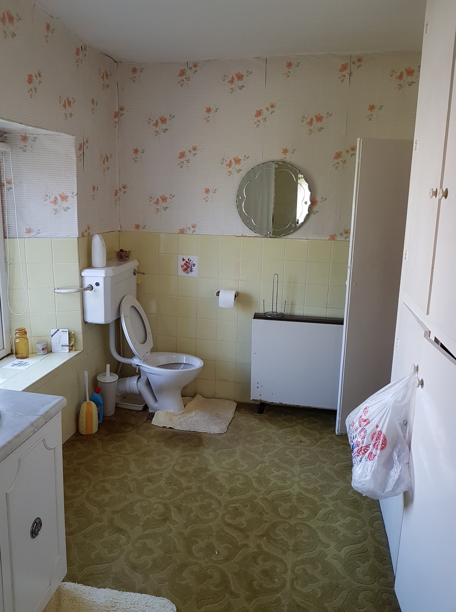 29355081 1835229793442758 4961535679696437313 O