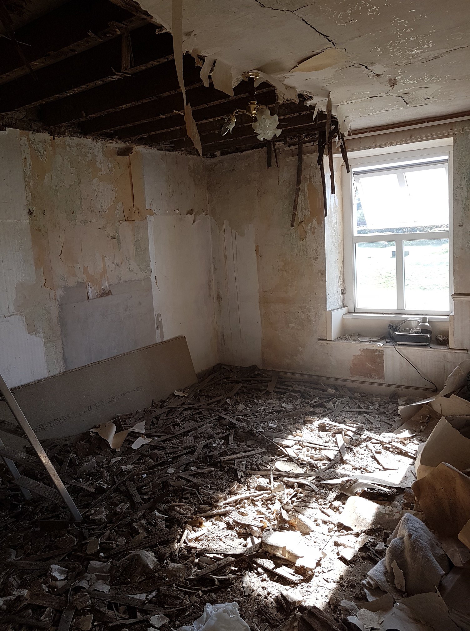 29352105 1835251826773888 3956025940661823053 O