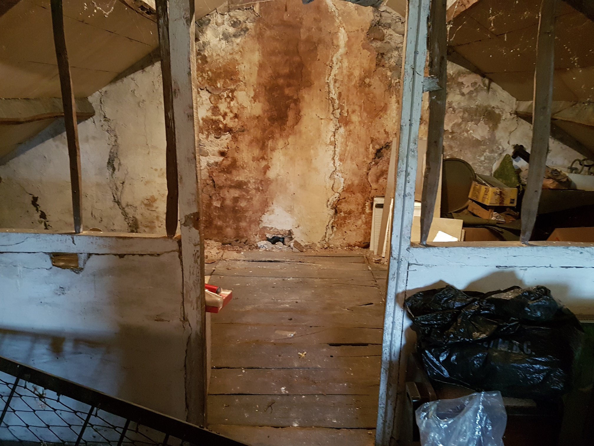 29352202 1835256796773391 516973413340408645 O