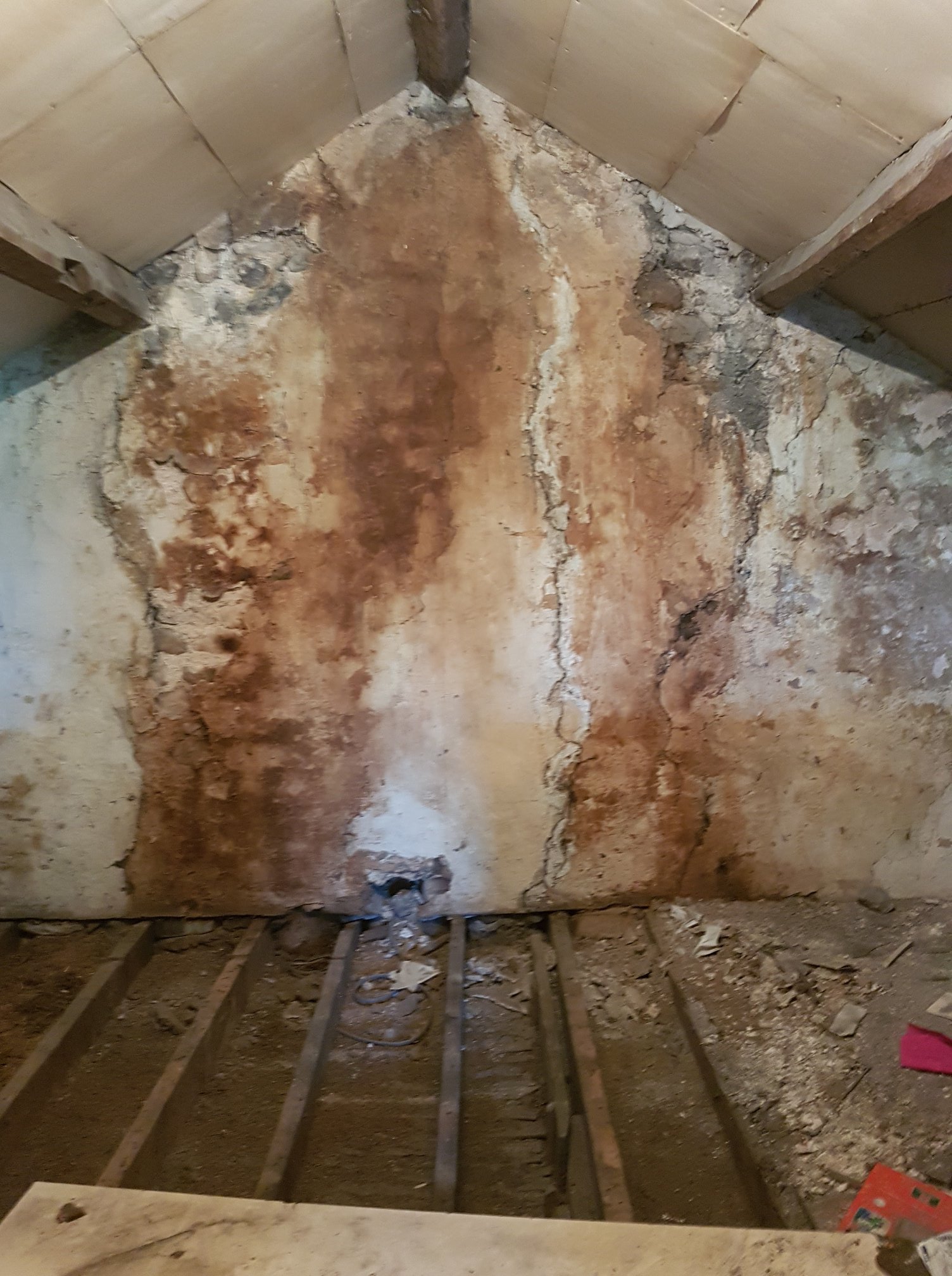 29355045 1835256876773383 5265278499030931754 O