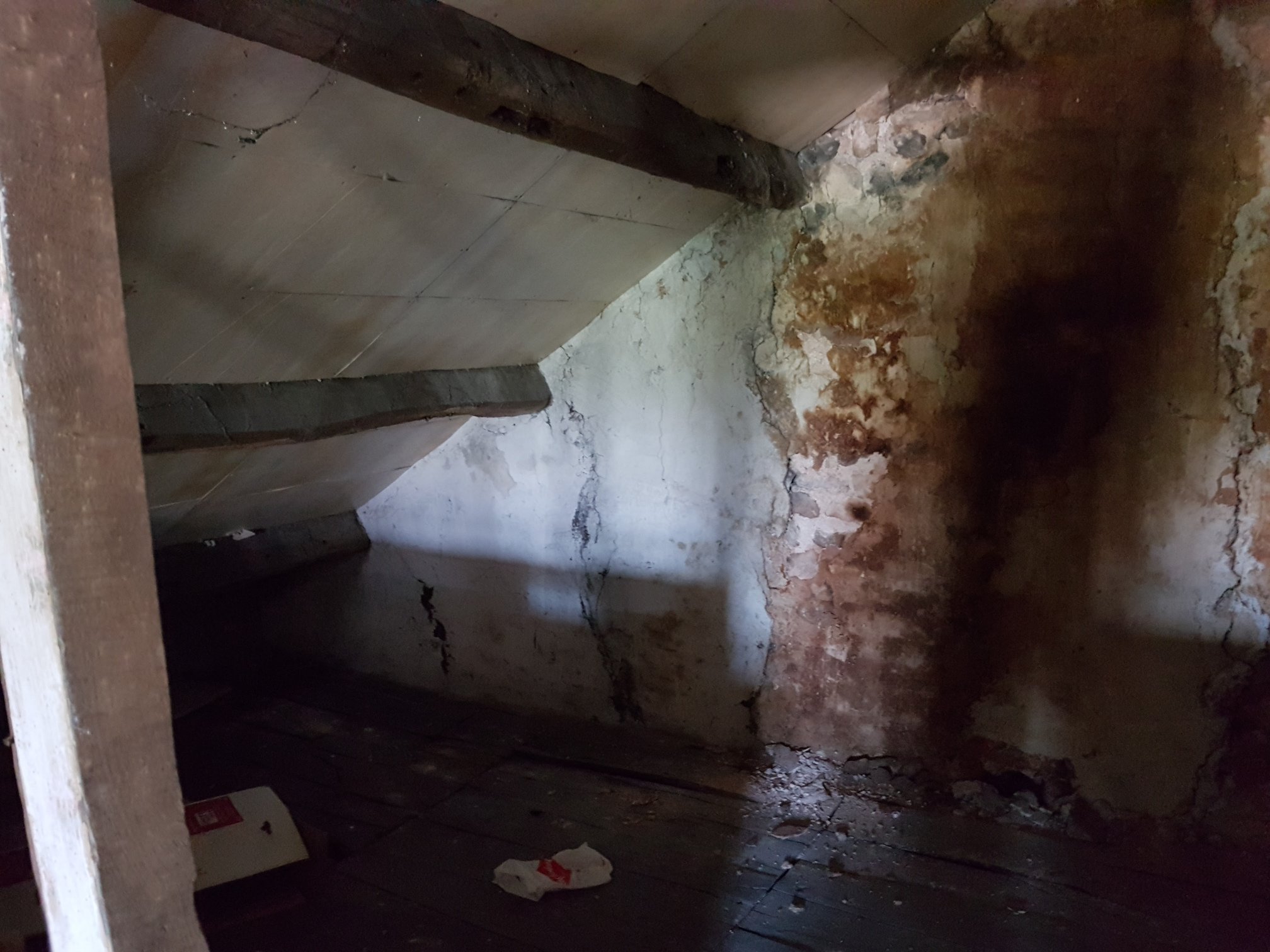 29662805 1835256723440065 3515708538377321147 O