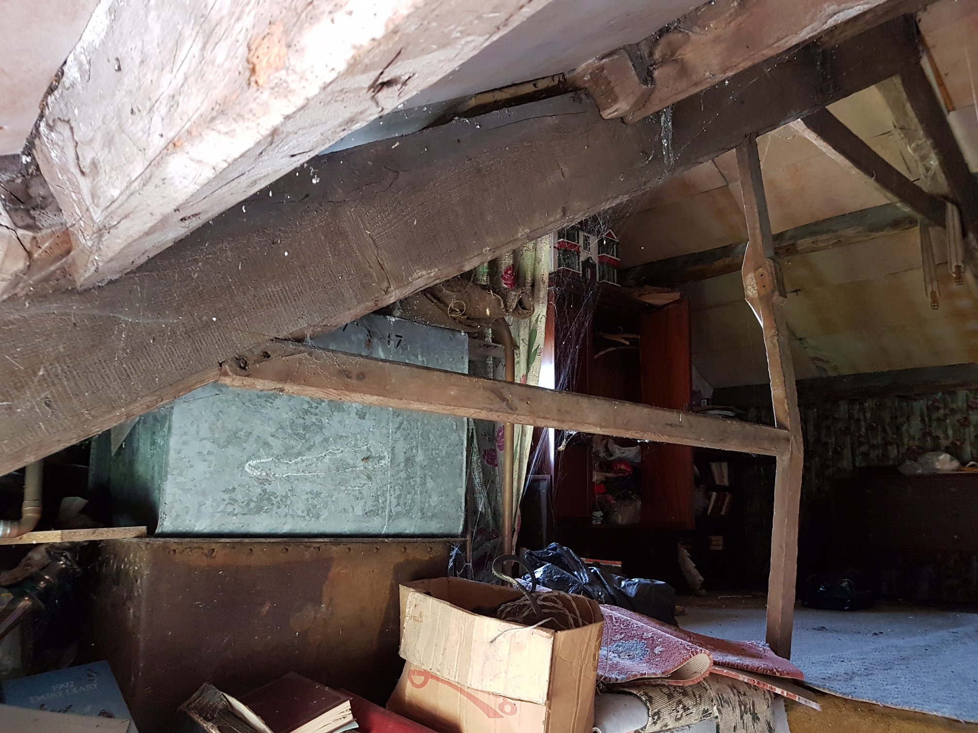 29665330 1835256653440072 4032623412713791765 O