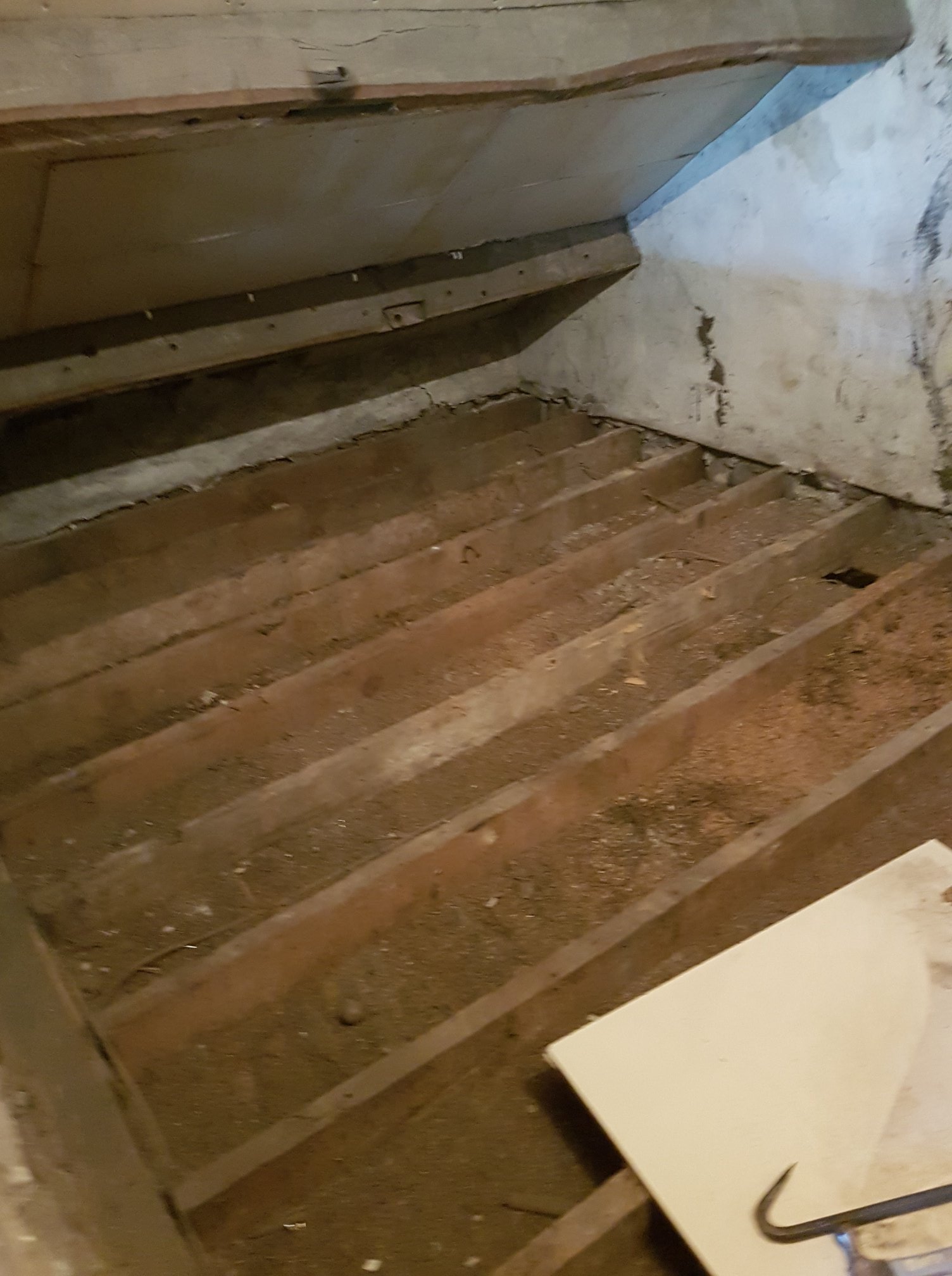 29744497 1835256853440052 1005823749238907400 O