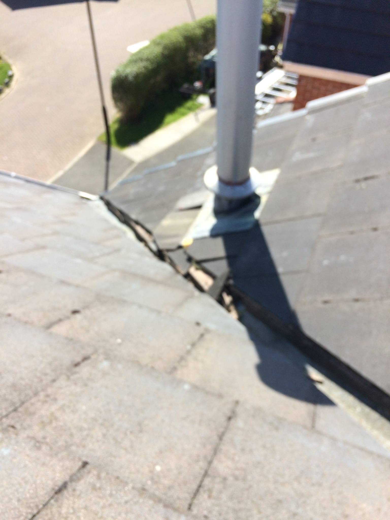 13243844 1572168893082184 3110995255325602907 O