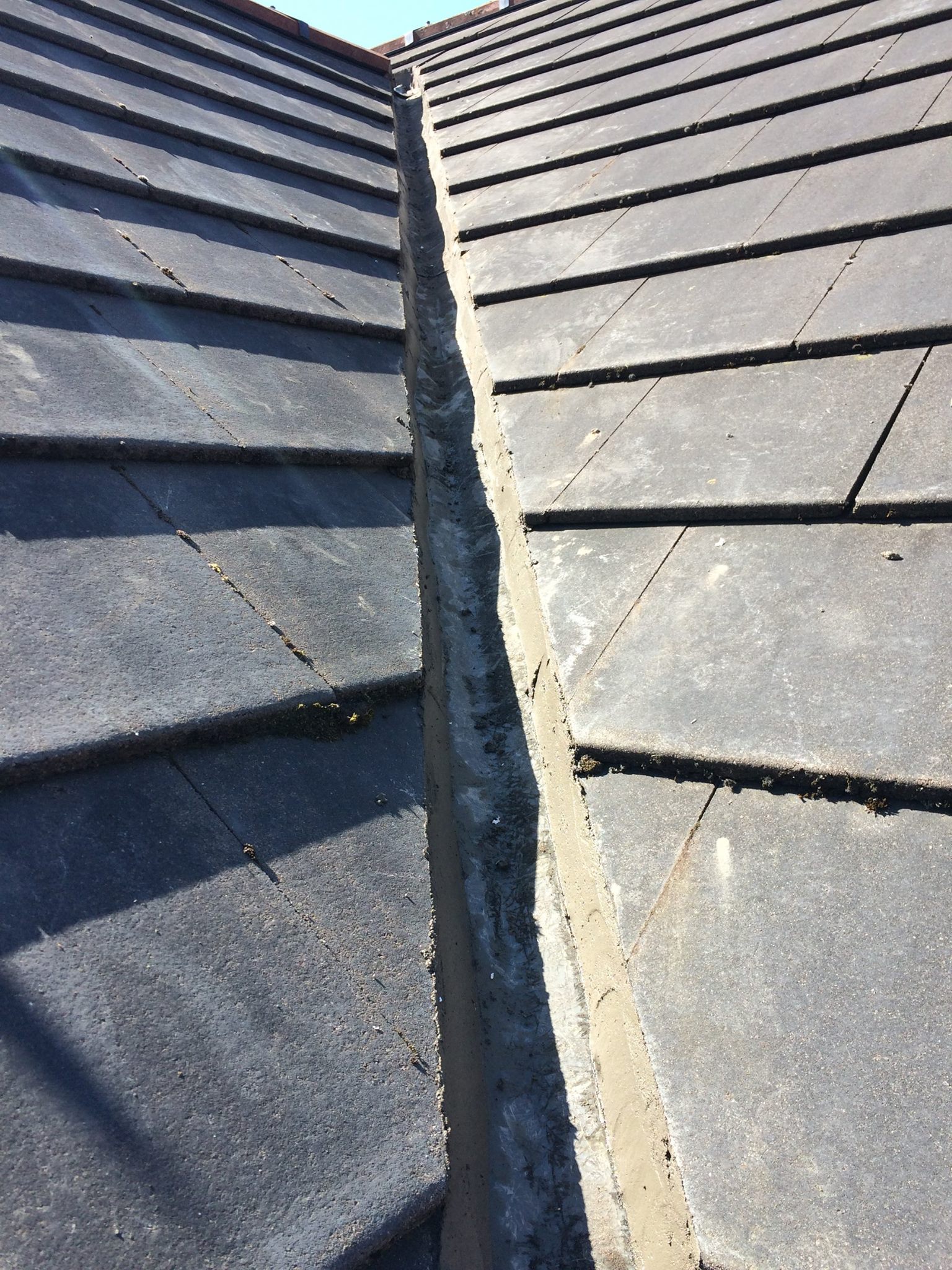 13268295 1572168976415509 4535980571922432339 O