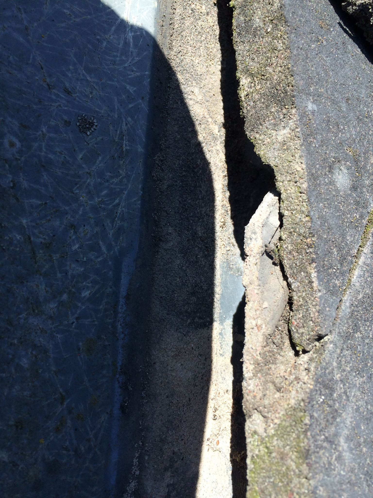 13301254 1572168916415515 274259275478734330 O