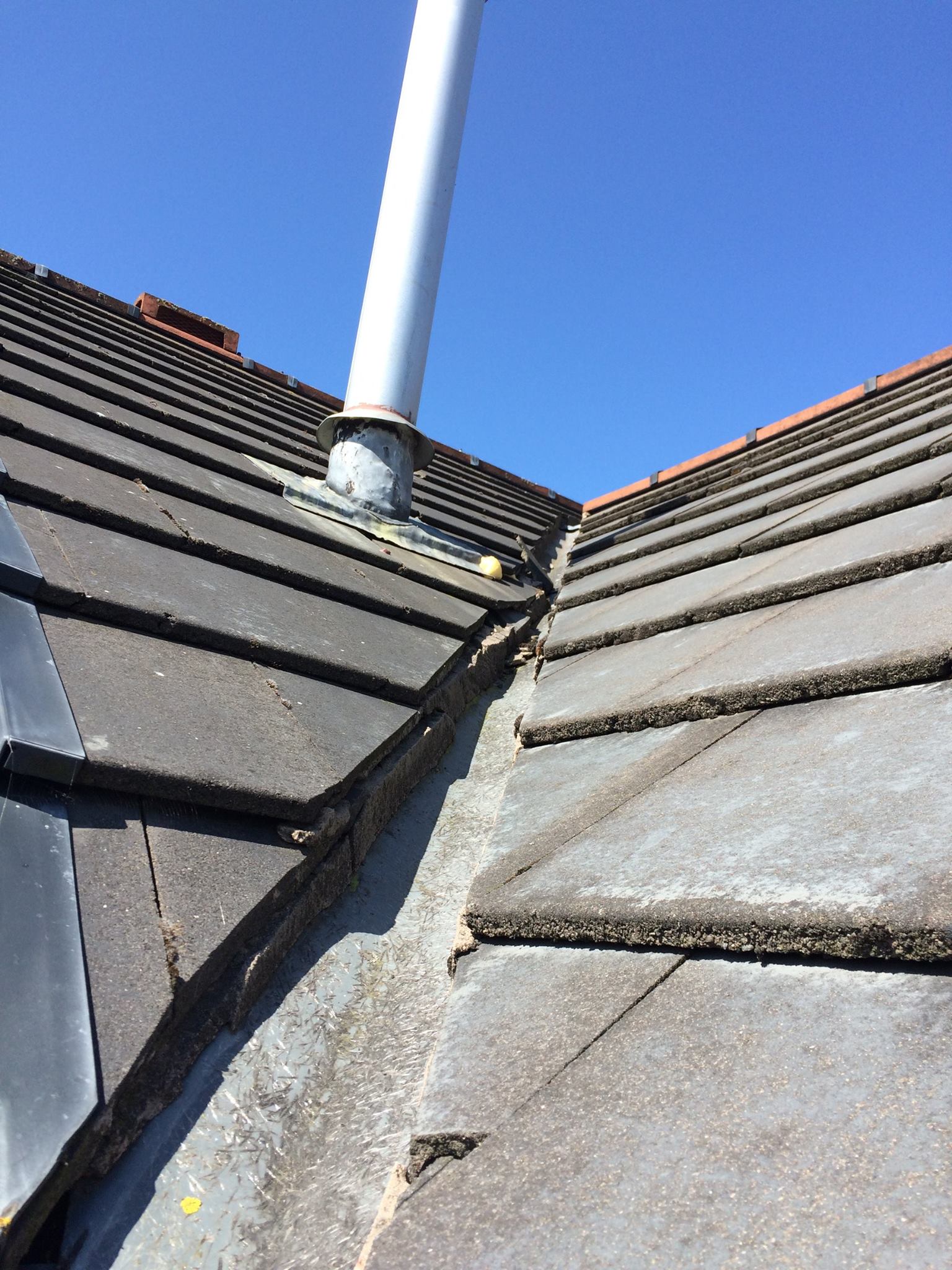 13308165 1572168949748845 3357330011521256279 O