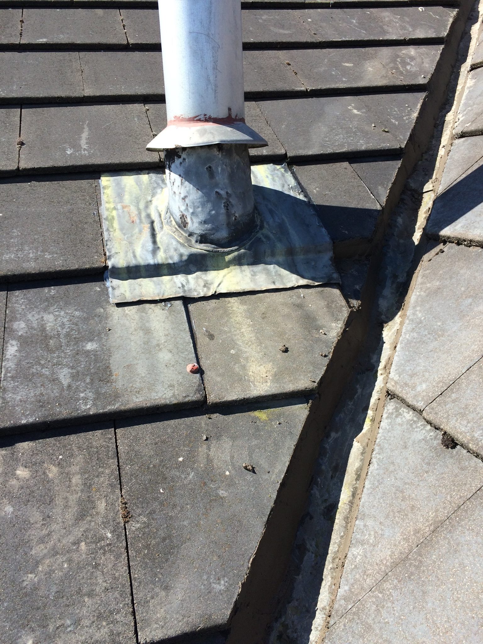 13308601 1572168999748840 6902494257722966837 O